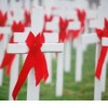 Эпидситуация по ВИЧ-инфекции  в Гомельской области в январе-марте 2017 года
